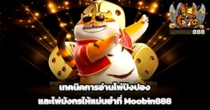 เทคนิคการอ่านไพ่ปิงปองและไพ่มังกรให้แม่นยำที่ Moobin888