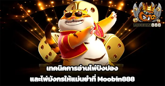 เทคนิคการอ่านไพ่ปิงปองและไพ่มังกรให้แม่นยำที่ Moobin888